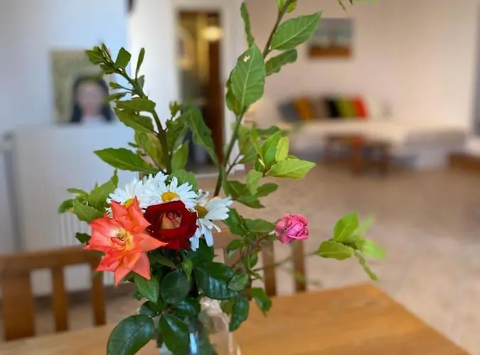 Agrabely Country house *